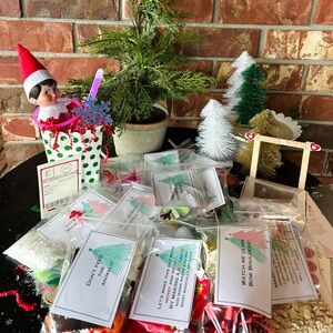 24 day Elf on the Shelf kit